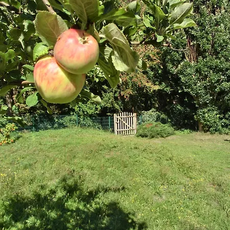 Strandstrasse 60 S13 Graal-Mueritz