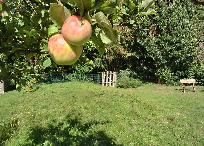 Strandstrasse 60 S13 Graal-Mueritz